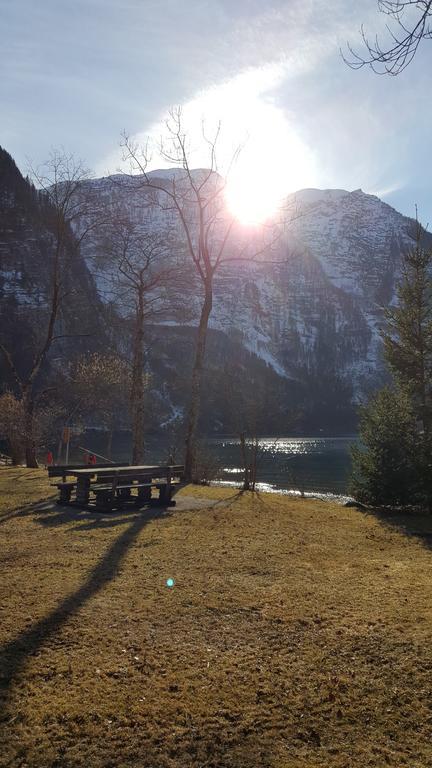 Seeblick Krippenstein Obertraun Dış mekan fotoğraf